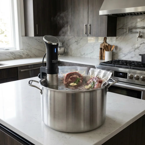 1000W Precision Sous Vide Cooker
